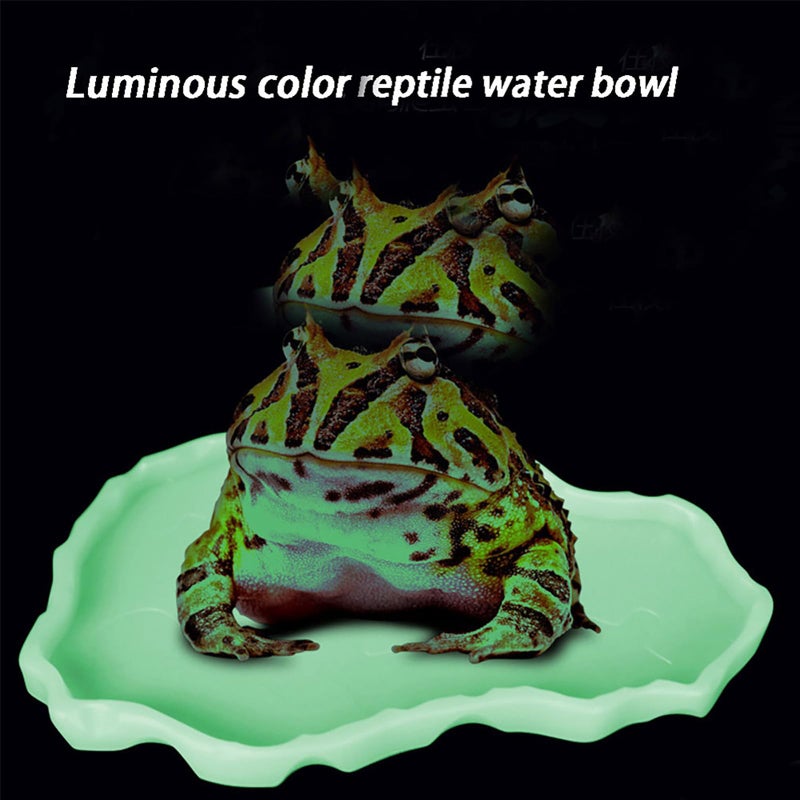 OMEM Luminous Reptile Food Bowl,Large Water Dish,Terrarium Bowls, Tortoise Bowl (Black) - Image 3